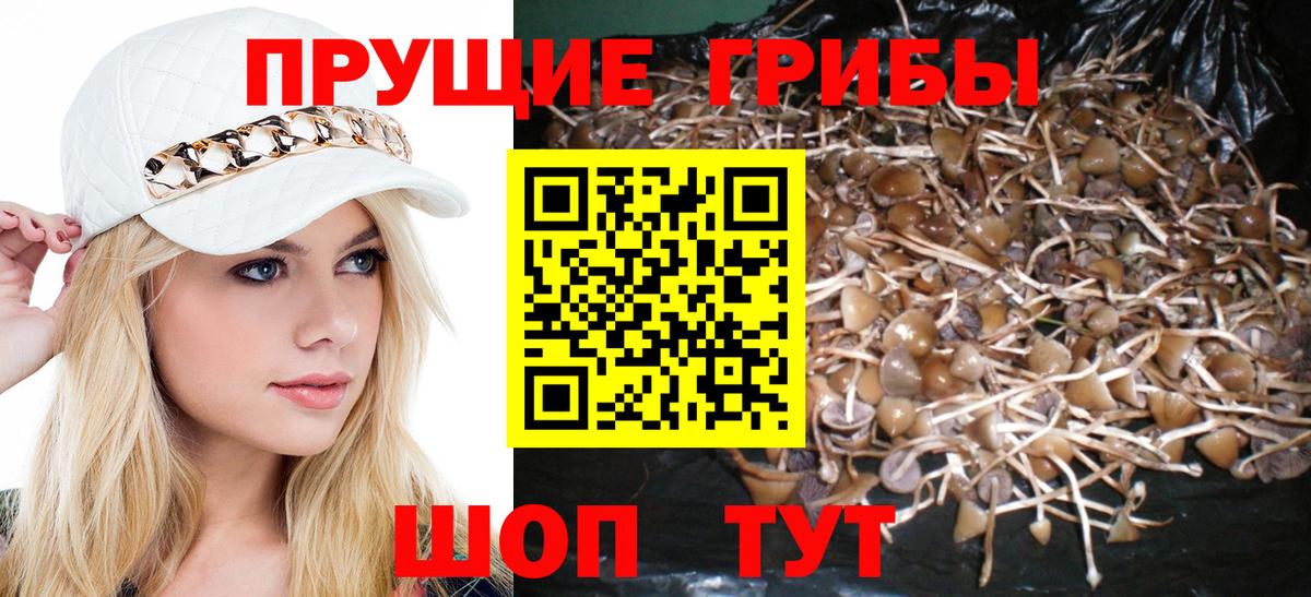 Аша  Псилоцибиновые грибы ЛСД  закладка  Вход с VPN 